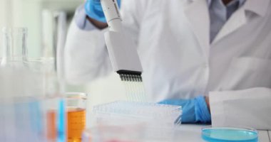 Laboratuvar asistanı deney için reaktörleri yaymak için çok kanallı pipet kullanıyor. Modern ekipmanlı teknisyen laboratuarda tıbbi araştırma yürütüyor.