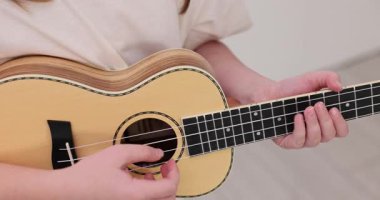 Kişi, telleri tıngırdatan açık renkli ukulele çalar. Sıcak yaz gününde tasarımı ve müzik çalma eylemini vurgulayan müzik aleti