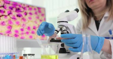 Laboratuvar önlüğü ve eldiven giyen kadın tıp uzmanı mikroskop ile slayt ayarlamaya bakıyor. Laboratuvarda bilimsel deney ve analiz