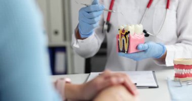 Diş hekimi, diş ve diş aletlerinin yapay modelini elinde tutuyor. Doktor hastaya yaklaşan tedaviyi adım adım açıklıyor. Yavaş çekim