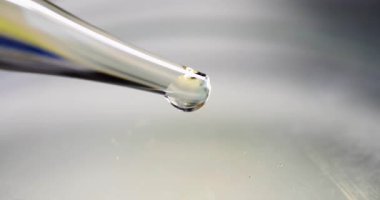 Laboratuvarda cam pipetten organik yağ damlatıyor. İlaç laboratuvarında yavaş çekimde nemlendirici kozmetik ürünler test ediliyor.