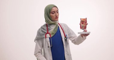 Müslüman kadın doktor, iç yapıları aletle gösteren bir insan kulağı modeli tutuyor. Kadın, kulak anatomisini açıklar ve yavaş çekim gösterir.
