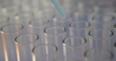 Mavi sıvı damlalar küçük pipetten sıraya konmuş test tüplerine düşer. Laboratuvar ortamında hassasiyet ve detaylara odaklı bilimsel deney