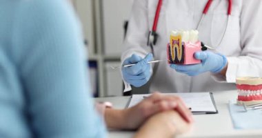 Diş hekimi, diş sağlığını açıklamak için yapay diş modelini elinde tutuyor. Deneyimli doktor randevuda hasarlı dişlerin altını çizmek için küçük bir araç kullanır