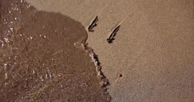 Kuma kazınmış üzgün yüzün çizimi deniz dalgası tarafından yıkanmış. Sonsuz hüzünlü gülümseme çizimi geçici bir duygu ve anlık bir an yaratıyor.