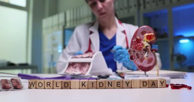 Böbrek sağlığı ve farkındalığın etkili bir şekilde gösterildiği Dünya Böbrek Günü için büyüleyici görüntüler.