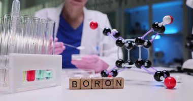 Bir bilim adamı, bir laboratuarda moleküler model ve test tüpleriyle bir bor deneyi gösteriyor.
