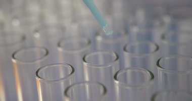 Laboratuvardaki pipeti kullanarak test tüpüne mavi sıvı madde damlatıyor. Laboratuvar ortamında sıvı ile bilimsel araştırma ve deney yürütülüyor.