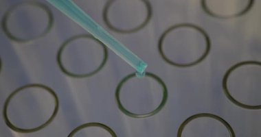 Pipette, masasındaki birden fazla test tüpüne açık mavi kimyasal sıvı damlatıyor. Laboratuvar ortamında karmaşık bilimsel araştırma ve analiz
