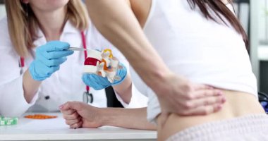 Doktor, klinikteki kadın hastaya sırt ağrısının nedenlerini açıklayan anatomik bir omurga modeli gösteriyor. Beli ağrıyan bir kadın hastanedeki doktoru ziyaret ediyor.