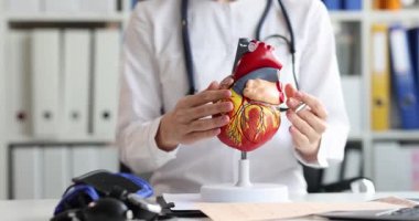 Kardiyolog klinikte kardiyolojinin işleyişini açıklayan anatomik kalp modelini gösteriyor. Doktor, tıp fakültesinde organ yapısı gösteriyor.