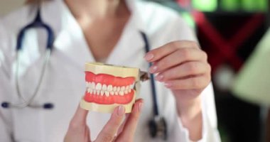 Beyaz laboratuvar önlüğü giyen kadın dişçi, diş sağlığı detaylarını açıklayan anatomik çene modeli gösteriyor. Klinikte profesyonel tıbbi danışmanlık