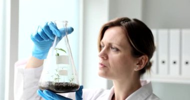 Kadın araştırmacı, laboratuvar şişesindeki küçük bitkileri koruyucu ekipmanlarla analiz ediyor. İyi aydınlatılmış araştırma ortamında botanik bilimsel araştırma