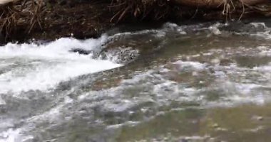 Kristal berrak su, pürüzsüz kayaların üzerinde hızla akar. Dinamik köpüklü su akıntıları ham güç ve vahşi doğanın güzelliğini sergiliyor.