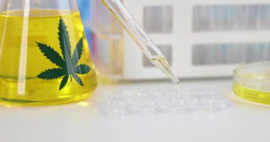 Cam pipet, tıbbi laboratuvarda kenevir yağı özütünü kuyuya koyar. İlaç laboratuarında marihuana ürünlerinin özellikleri inceleniyor