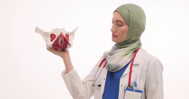 Tesettürlü genç kadın doktor leğen kemiğinin anatomik modelini tutuyor. Doktor, Kegel egzersizlerinin doğru uygulandığını göstermek için yumruğunu sıkıyor