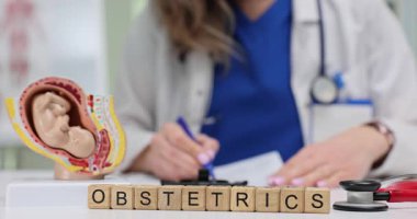 Tahta bloklara kelime Doğum ve jinekolog masasına insan fetüsü modeli. Doktor doğum öncesi bakımı hakkında hastane ağır çekimde rapor yazıyor.