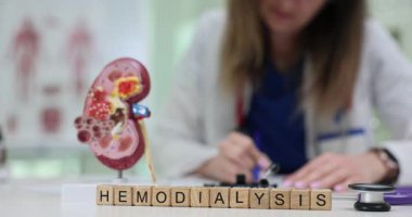 Doktor masasında böbrek modeli olan tahta küplerin Hemodiyalizini yaz. Nefrolog kadın randevudaki hastaların tıbbi kayıtlarını kontrol ediyor.