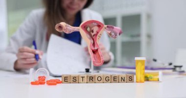 Kadın, kadın üreme sisteminin modelinin yakınındaki belgeleri inceliyor ve masada östrojenler yazılı bloklar bulunuyor. Östrojenlerin rolüyle ilgili danışmanlık