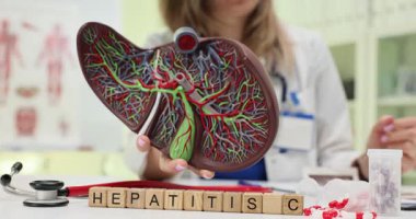 Deneyimli kadın doktor insan karaciğerinin anatomik modelini küplerin üzerinde tutuyor. Doktor Hepatit C hastalarında karaciğer hasarının ilerlediğini gösteriyor.