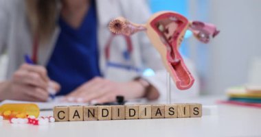 Kadın doktor muayenehanede Candiasis tedavisi için reçete yazıyor. Üreme sistemi anatomik modeli klinik ortamda masaya konur