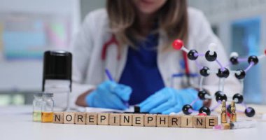 Moleküler modelin yakınındaki tahta bloklarda bilim adamına karşı Norepinefrin. Kadın doktor tıp laboratuarında malzeme yapısını analiz ediyor.