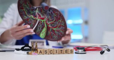 Tahta küpler ve insan karaciğerinin anatomik modelini tutan doktorlarla ilgili haberler. Doktor, iç organ gösteren hastalık tedavisini açıkladı