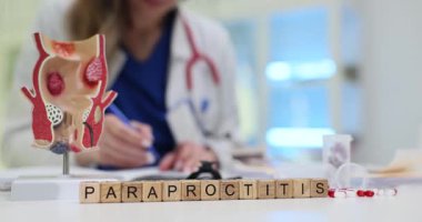 Doktor masasındaki rektum modelinin tahta küplerde paraproktiti. Kadın proktolog, muayenehanedeki randevusunda hastalık tedavi planı yazıyor.
