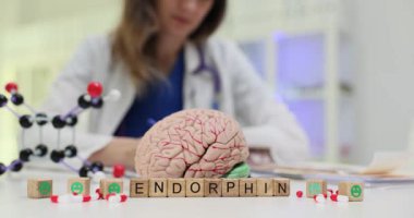 Kadın, endorfin ve ilaç moleküllerinin bulunduğu tahta küplerin yanına reçete yazıyor. Beyin anatomik modelini gösteren nörobilim çalışma alanı