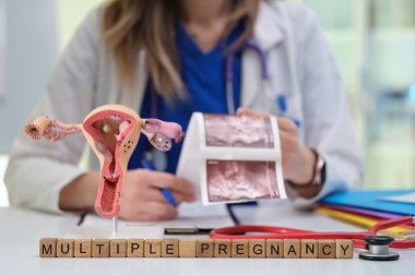 Bir sağlık uzmanı, detaylı anatomik modelleri görsel yardım olarak kullanarak çoklu hamilelikleri tartışır.