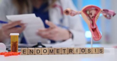 Doktorun yanında rahim modeli olan tahta küplerin kelime endometriyozisi. Jinekolog ultrason taramalarını kontrol ediyor. Hasta bakımı ve tedavisine odaklanıyor.