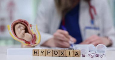 Tahta bloklardan oluşan hipoksi metni ve doktora karşı insan fetüsü modeli. Kadın jinekolog hastanedeki rahim içi fetüsün tıbbi raporunu yazıyor.