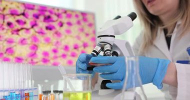 Kadın bilim adamı laboratuarda analiz için petri kabını mikroskop altına yerleştirdi. Biyolog mikroskobik görüntüyü yavaş çekimde gösteren monitörlere karşı çalışıyor.