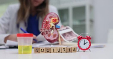 Masasında idrar örneği alarm saati ve böbrek modeli olan tahta bloklardan oluşan bir kelime. Kadın doktor idrar problemi üzerine rapor yazıyor.