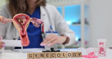 Doktor ofisinde tahta bloklar ve rahim modelinin kelime jinekolojisi. Jinekolog kadın üreme sistemi hastalıkları için reçete yazıyor.