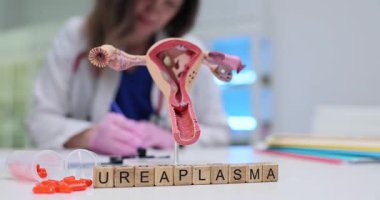 Tıbbi uzman Ureaplazma hastalığı tedavisi için reçete yazıyor. Kadın üreme sistemi anatomik modeli kadın sağlığını öneriyor