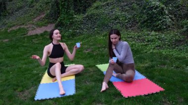 Sportif kadınlar parkta yoga yaptıktan sonra çimlerin üzerinde renkli minderlerin üzerinde oturarak bitki çayı içmeyi severler. Sağlıklı ve düşünceli yaşam tarzının tanıtımı