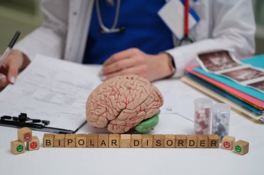 Bir tıp uzmanı görsel beyin modelleri ve diğer kaynaklarla bipolar bozuklukları araştırır.