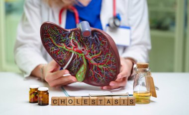 Çeşitli kolestazis durumlarını etkili bir şekilde göstermek için tıpta kullanılan kapsamlı ve detaylı bir akciğer modeli.