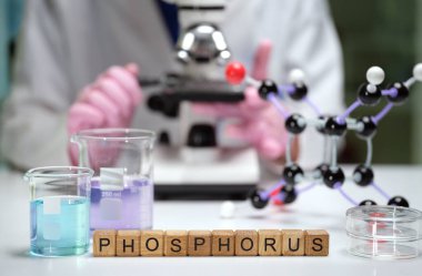 Mikroskop, çeşitli fosfor modelleri ve kimyasal çözümler devam eden laboratuvar araştırma faaliyetlerini canlı bir şekilde göstermektedir.