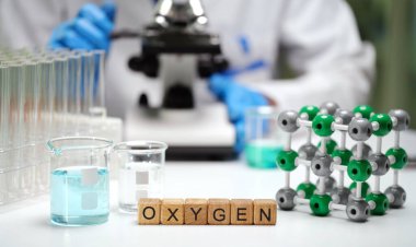 Araştırma ortamında laboratuvar ekipmanları ve moleküler modeller kullanarak oksijen hakkında detaylı bir çalışma yürüt