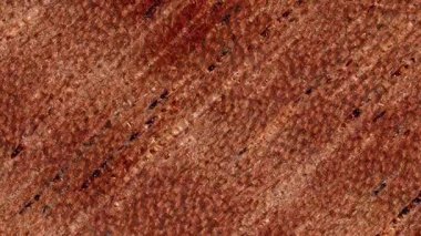 Işık, karanlık ve yapısal dokuların etkileşimini gösteren ahşap yüzeyler. Tahıl desenlerine ve renk değişimlerine odaklan. Çerçeve kırmak