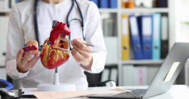 Tıbbi uzman kalp anatomisini, kalp modelinin detaylarını vurgulayan metal işaretleyici kullanarak açıklıyor. Klinik ortamda hasta danışmanlığı