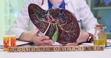 Çeşitli eğitim araçlarının yanı sıra karaciğer modelini kullanan koledocholithiasis 'in ayrıntılı bir görsel temsili
