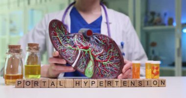 İlgili ilaçların yanında bir karaciğer modeli kullanarak portal hipertansiyonunun karmaşık detaylarını araştır