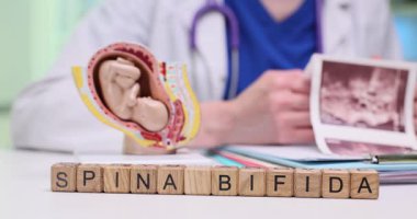 Bu belge, spina bifida 'ya daha iyi anlamak için tıbbi görseller ve içgörülerle ayrıntılı bir bakış sunar.