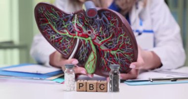 Bir akciğer modeli, tedavi seçenekleri ve hasta bakımı uygulamalarını gösteren bir tıbbi demo, solunum sağlığı