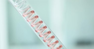 Pembe sıvı, tıp laboratuarındaki cam yoğunlaştırıcı test tüpünden akıyor. Bilim merkezinde modern ekipmanlarla renk sıvısı reaksiyonu araştırması yürütülüyor.