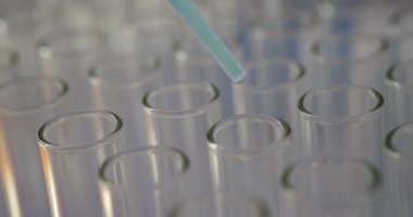 Mavi sıvı damlacıklar pipetten boş cam test tüplerine düşer. Sahne, laboratuardaki bilimsel deneyde çok net bir anı yakalıyor.