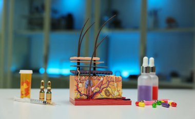 Cilt anatomisi modelinin büyüleyici ve detaylı bir görüntüsü. Yanında çeşitli kozmetik şişeler ve canlı haplar var.